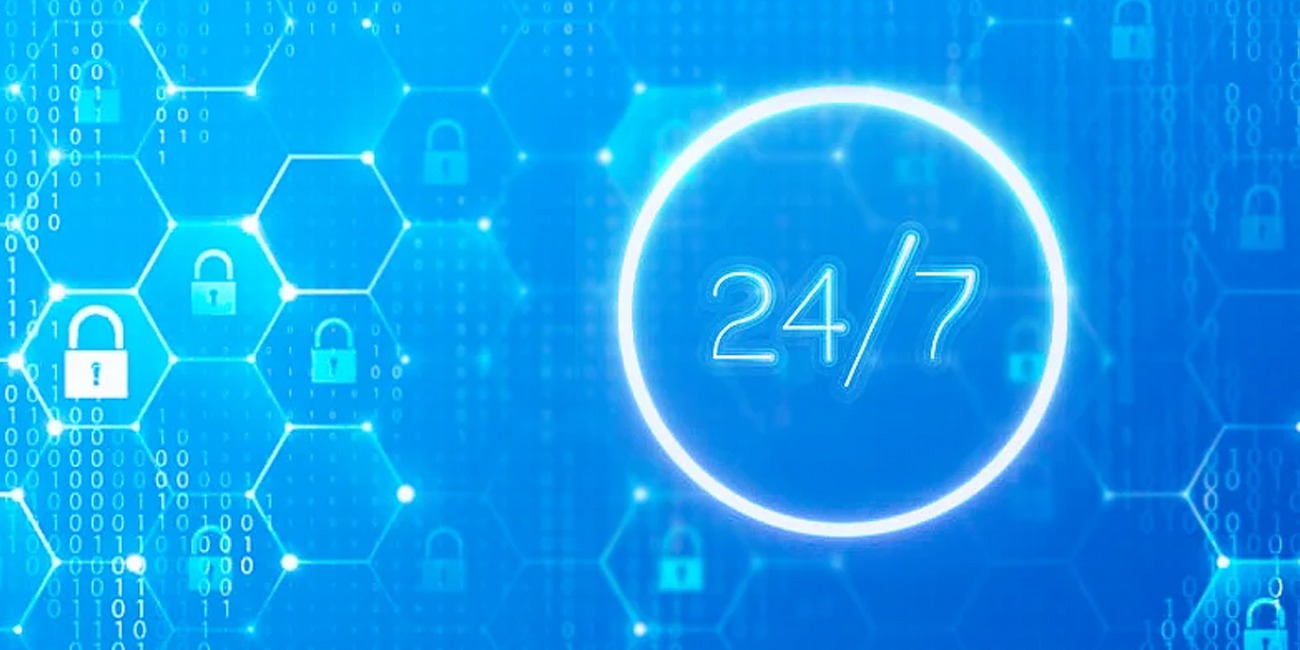 Immuniweb Continuous | Bludis