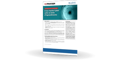 Muscope | Settore Finance | Bludis