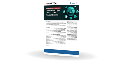 Muscope|Risk | Settore Governance | Bludis