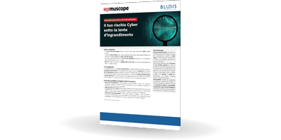 Muscope | Settore Insurance | Bludis