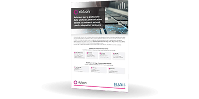 Brochure Ribbon SBC | Bludis