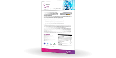 Datasheet Ribbon Edge 8100 | Bludis