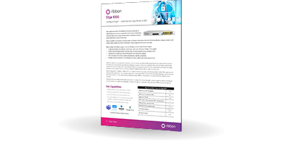 Datasheet Ribbon Edge 8300 | Bludis
