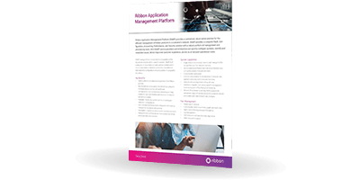Datasheet Ribbon RAMP | Bludis