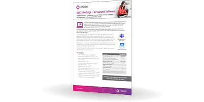 Datasheet Ribbon SBC SWe Edge Virtualized Software | Bludis