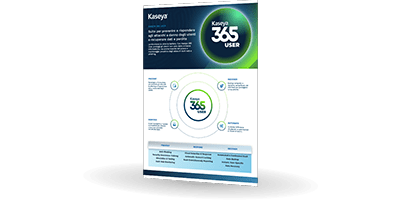 Kaseya 365 User | Bludis