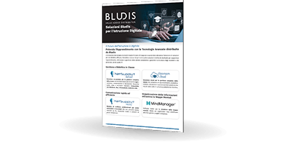 Bludis | Education