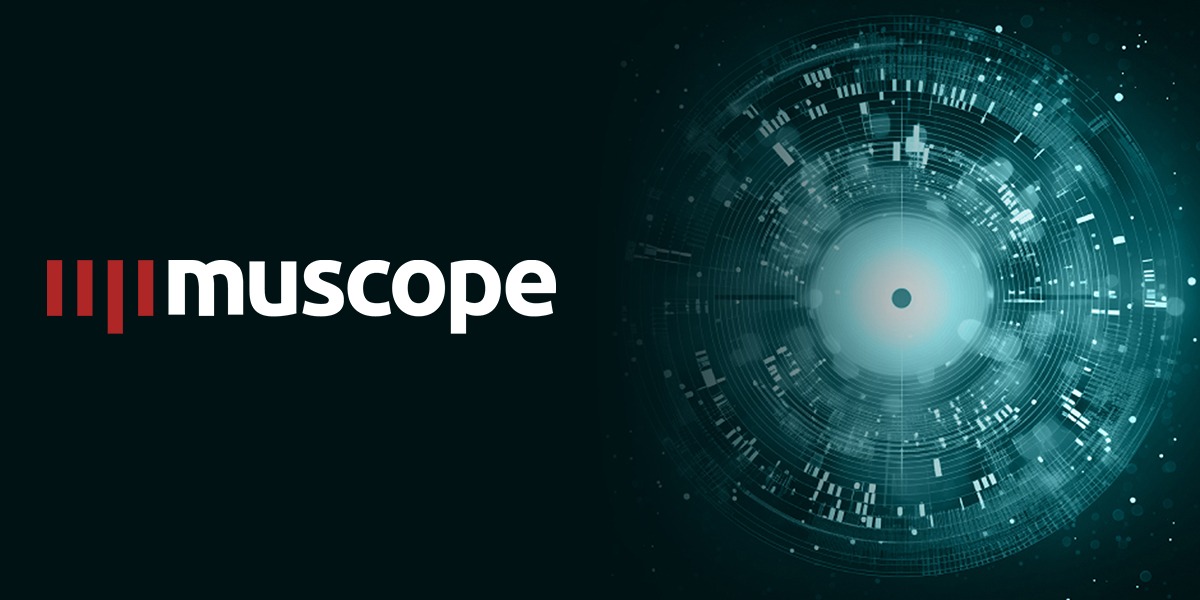 Muscope|Risk | Bludis | MSSP