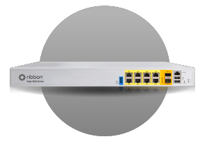 Ribbon Edge 8100 | Bludis